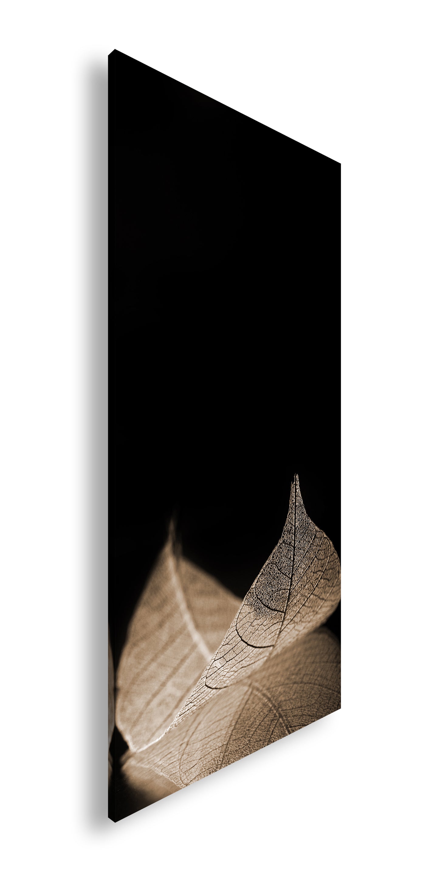 Hauptbild Sepia Panorama