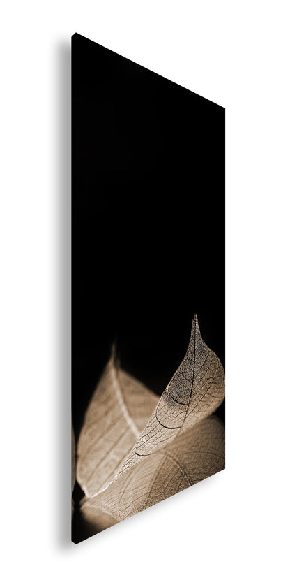 Hauptbild Sepia Panorama