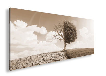 Hauptbild Sepia Panorama