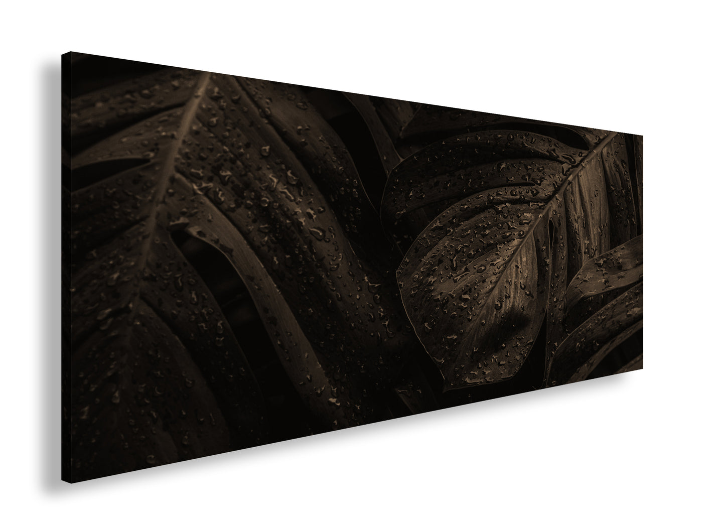 Hauptbild Sepia Panorama