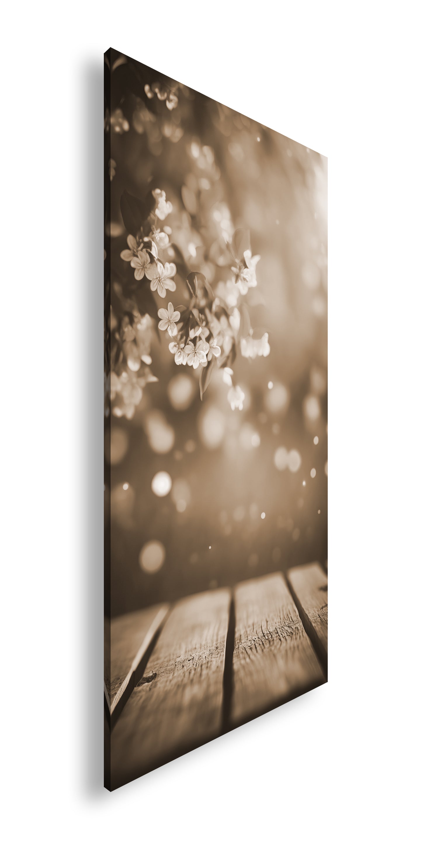 Hauptbild Sepia Panorama