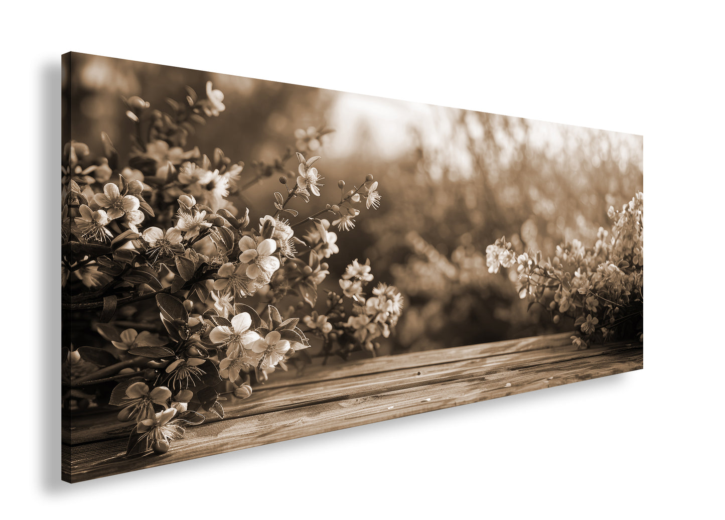 Hauptbild Sepia Panorama