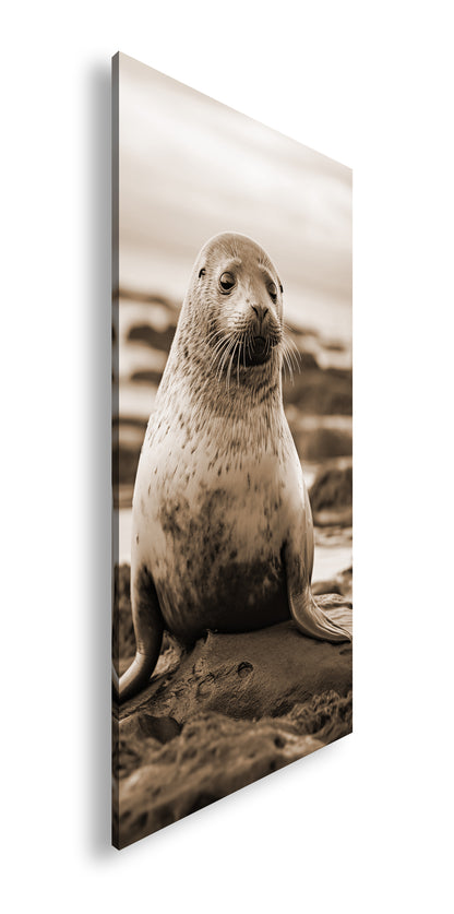 Hauptbild Sepia Panorama