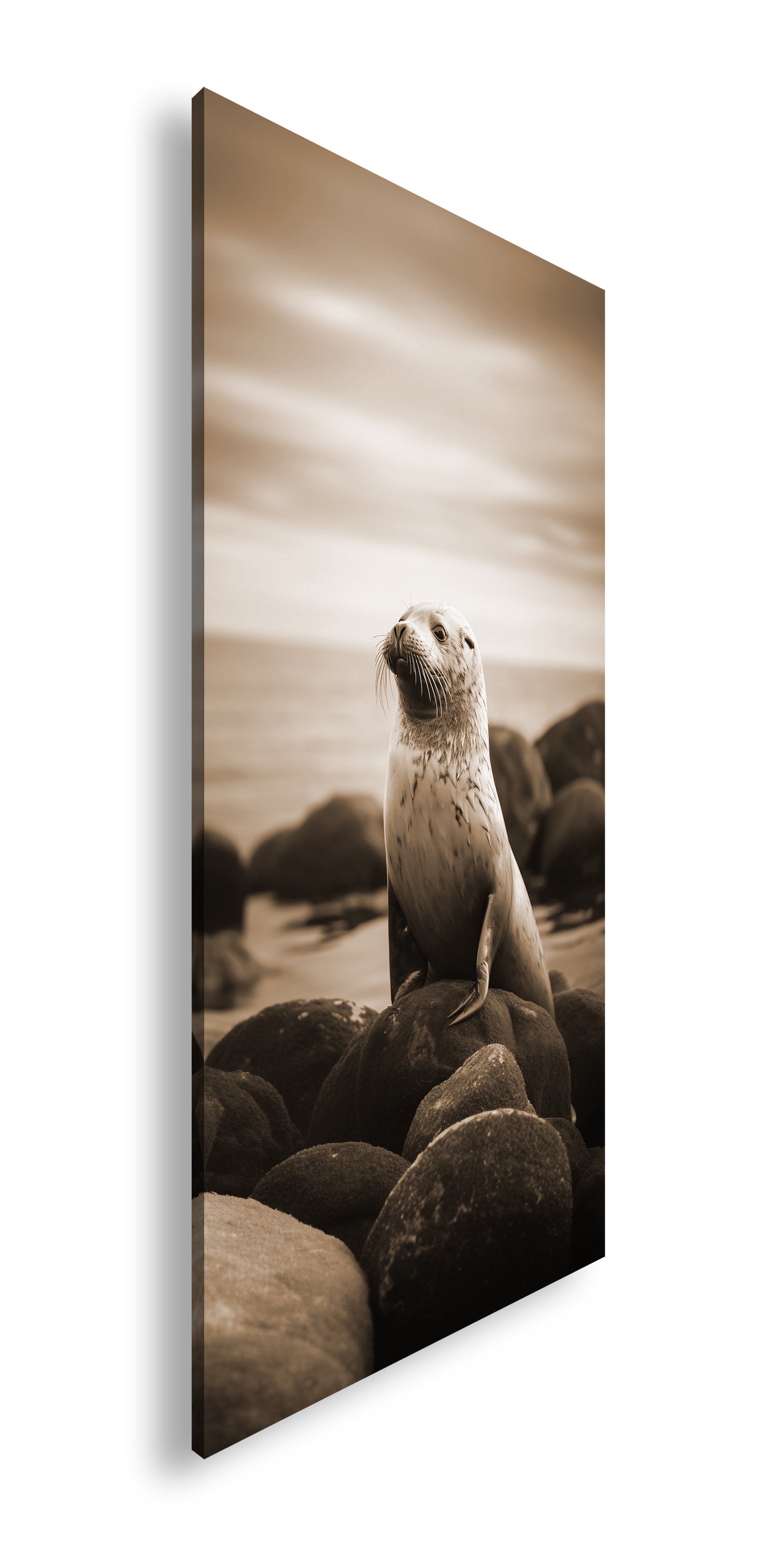 Hauptbild Sepia Panorama