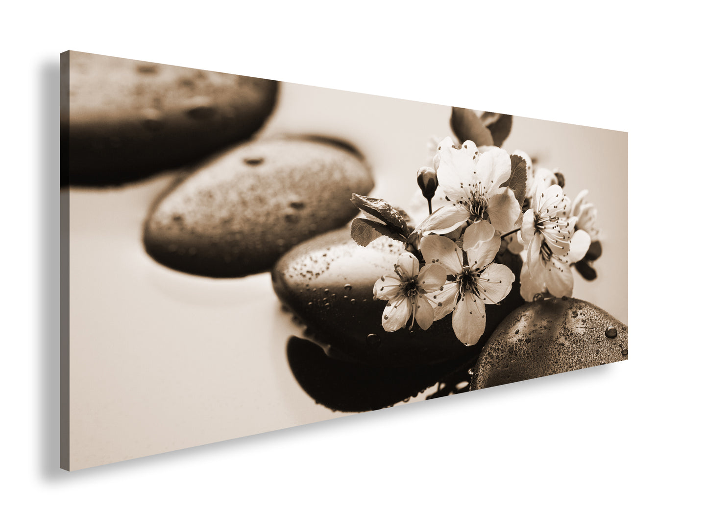 Hauptbild Sepia Panorama