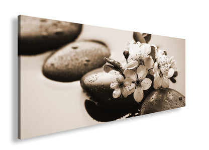 Hauptbild Sepia Panorama