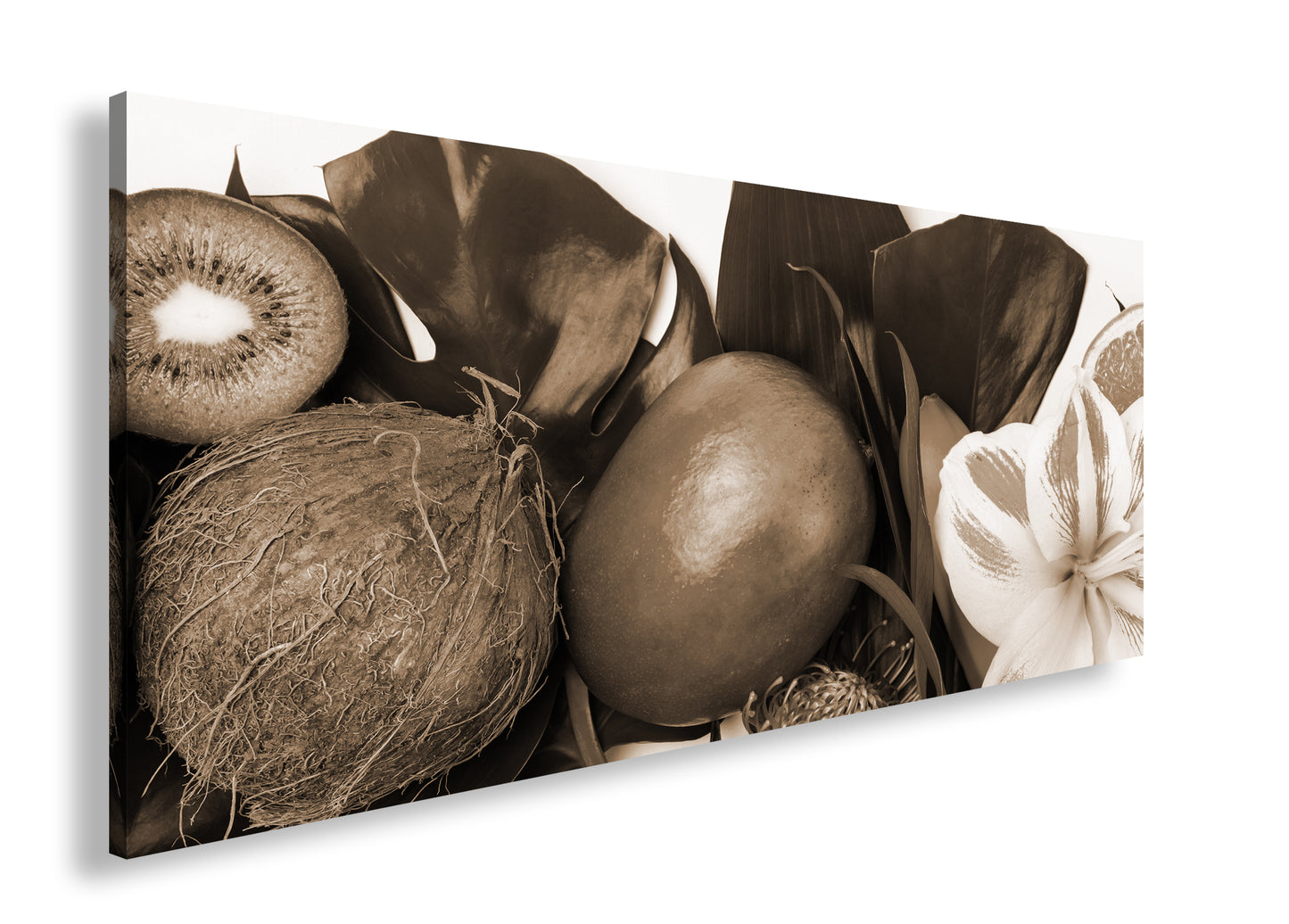 Hauptbild Sepia Panorama