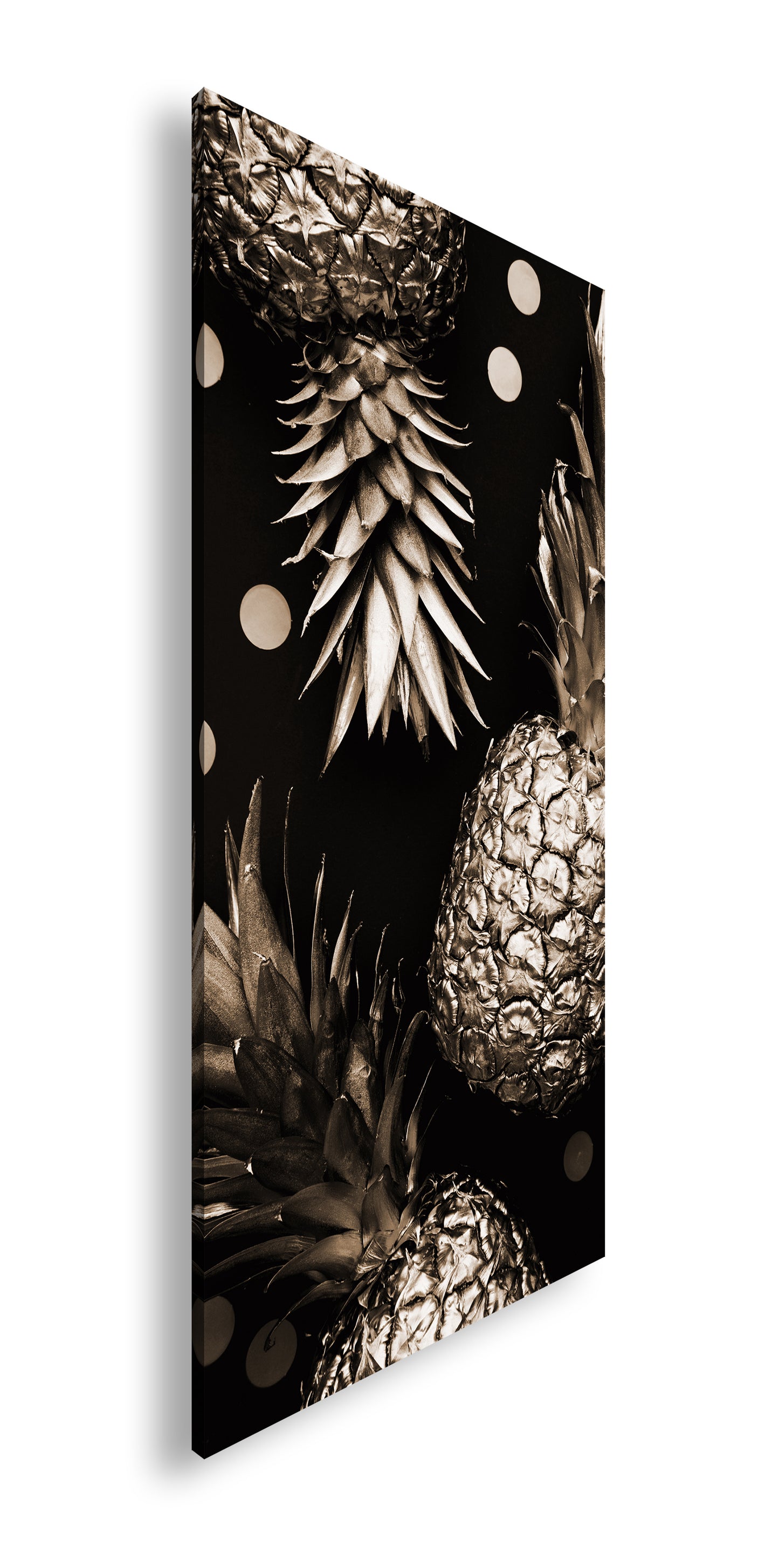 Hauptbild Sepia Panorama