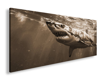 Hauptbild Sepia Panorama