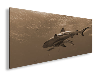 Hauptbild Sepia Panorama
