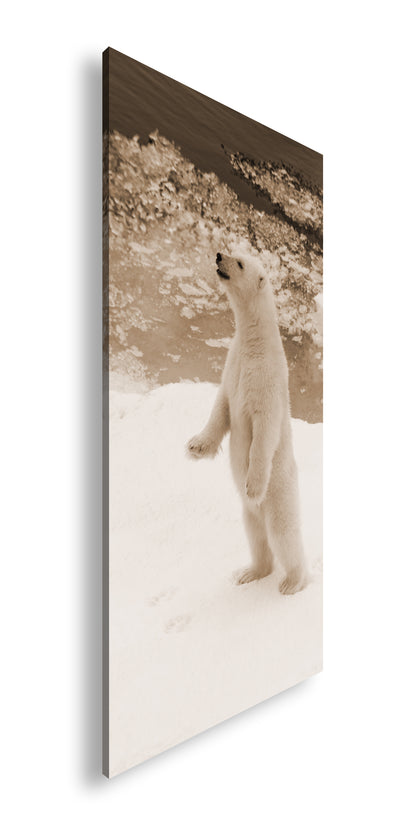 Hauptbild Sepia Panorama