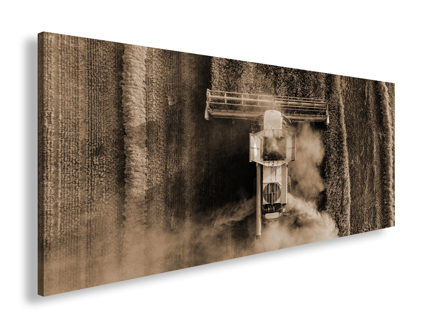 Hauptbild Sepia Panorama