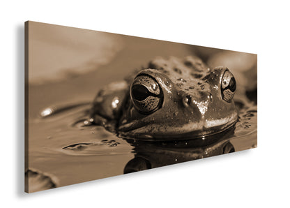 Hauptbild Sepia Panorama