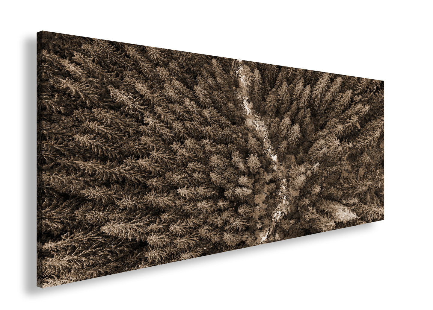 Hauptbild Sepia Panorama