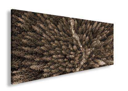 Hauptbild Sepia Panorama