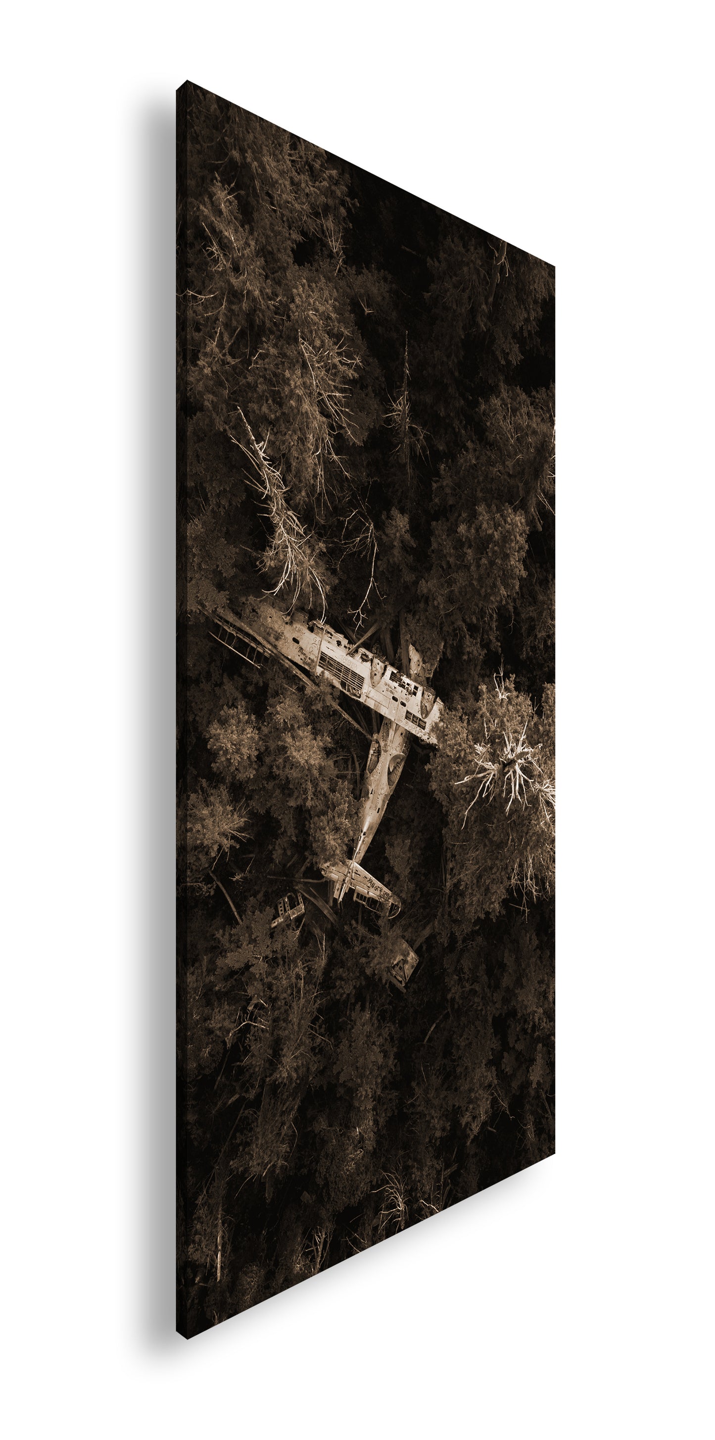 Hauptbild Sepia Panorama