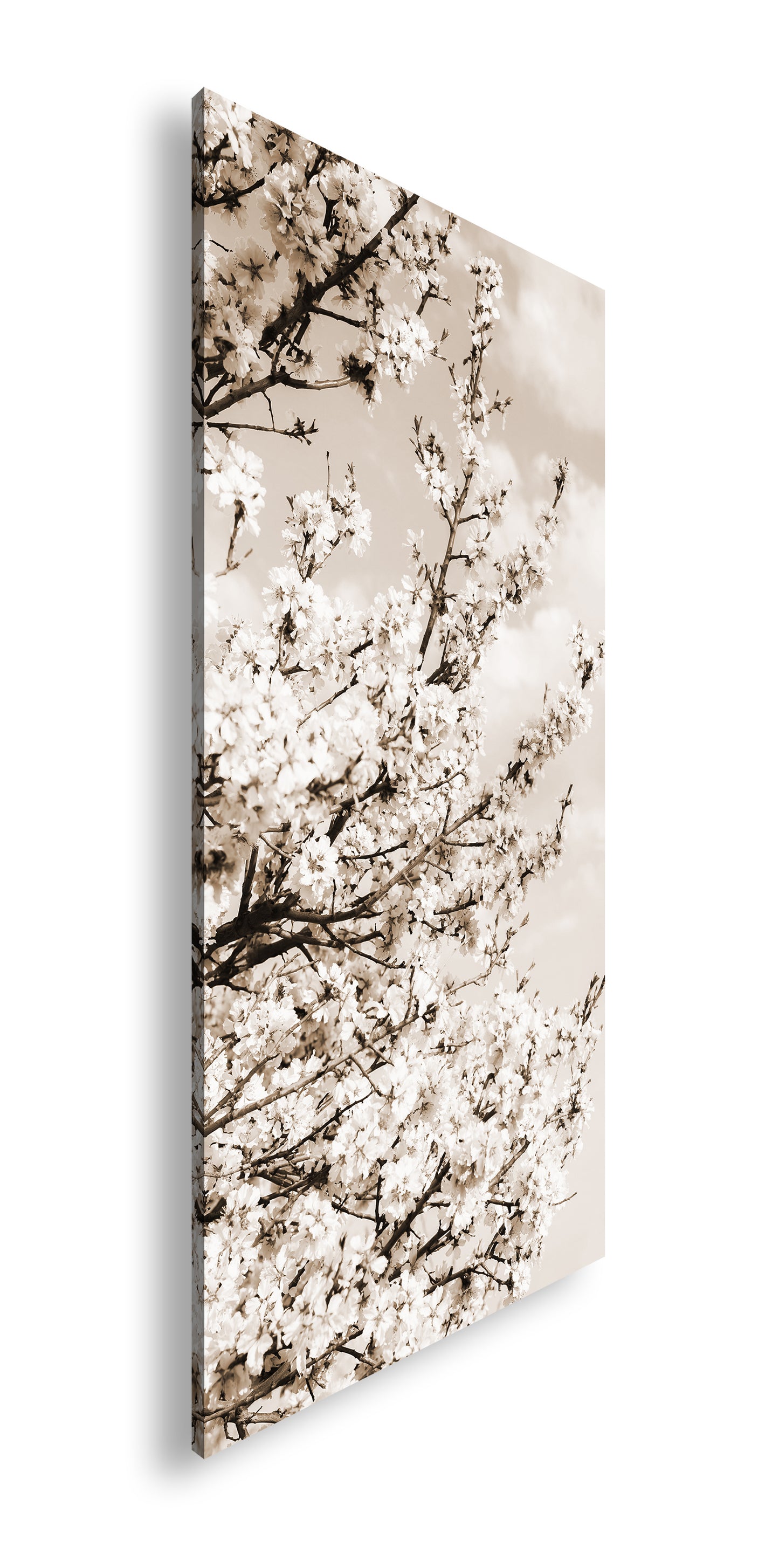 Hauptbild Sepia Panorama