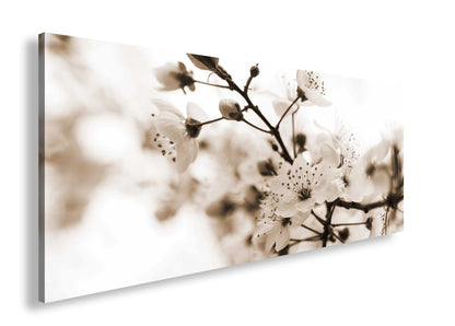 Hauptbild Sepia Panorama