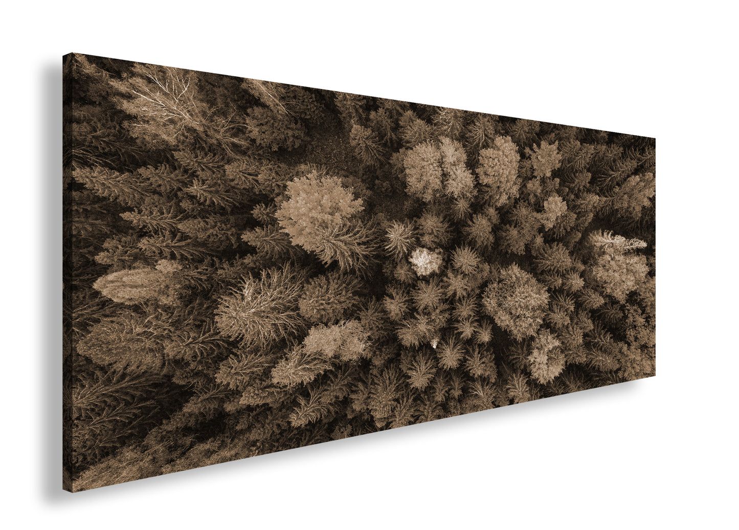 Hauptbild Sepia Panorama