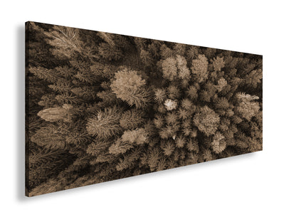 Hauptbild Sepia Panorama