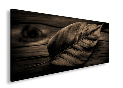 Hauptbild Sepia Panorama