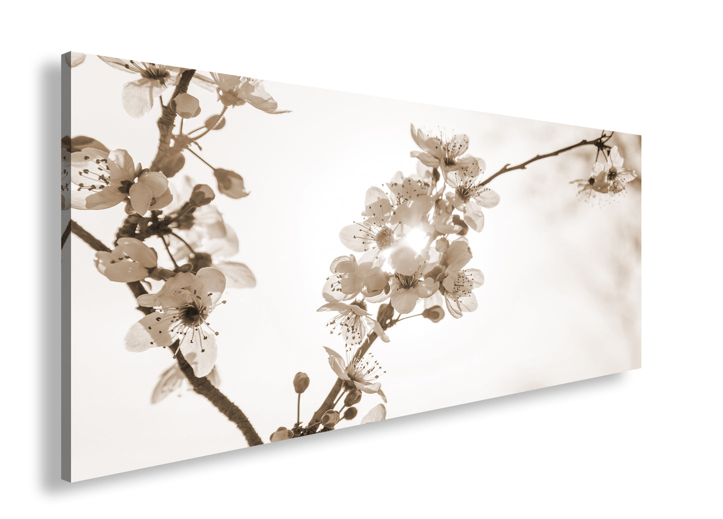 Hauptbild Sepia Panorama