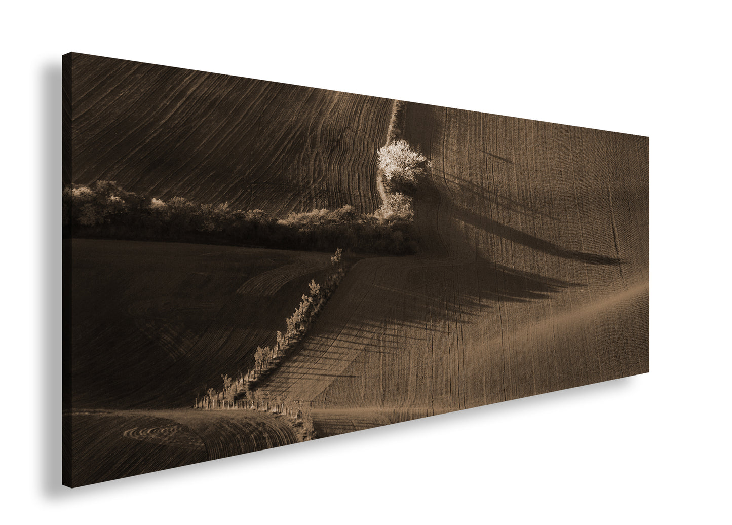 Hauptbild Sepia Panorama