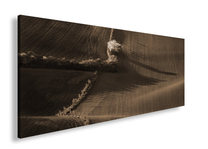 Hauptbild Sepia Panorama