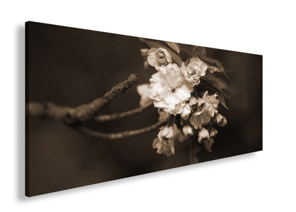 Hauptbild Sepia Panorama