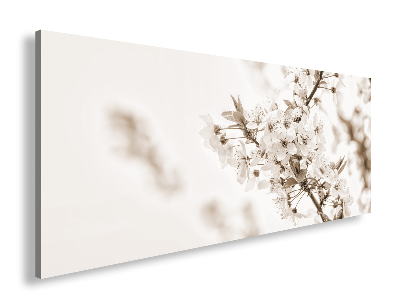 Hauptbild Sepia Panorama