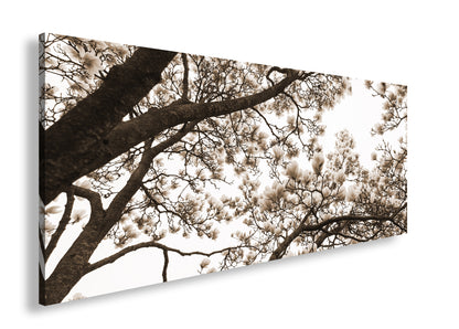 Hauptbild Sepia Panorama