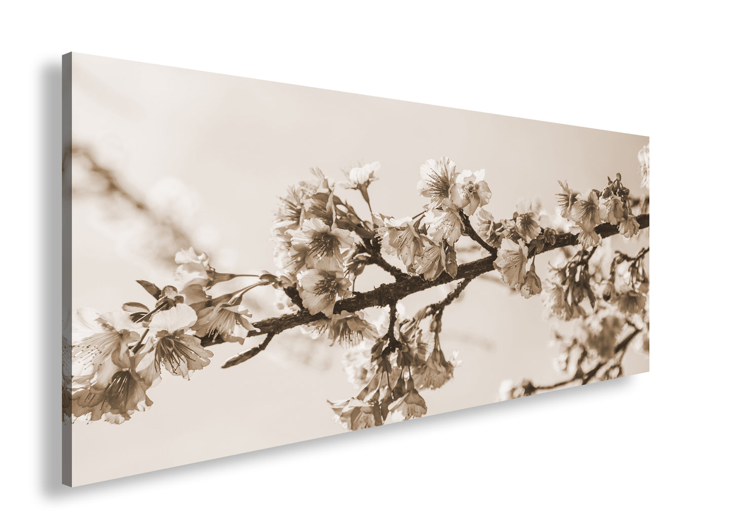 Hauptbild Sepia Panorama