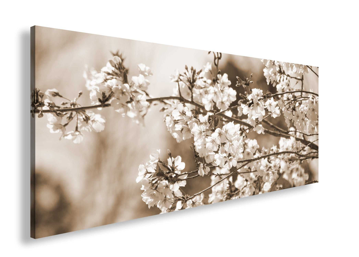 Hauptbild Sepia Panorama