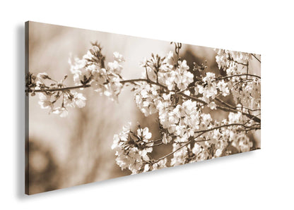 Hauptbild Sepia Panorama