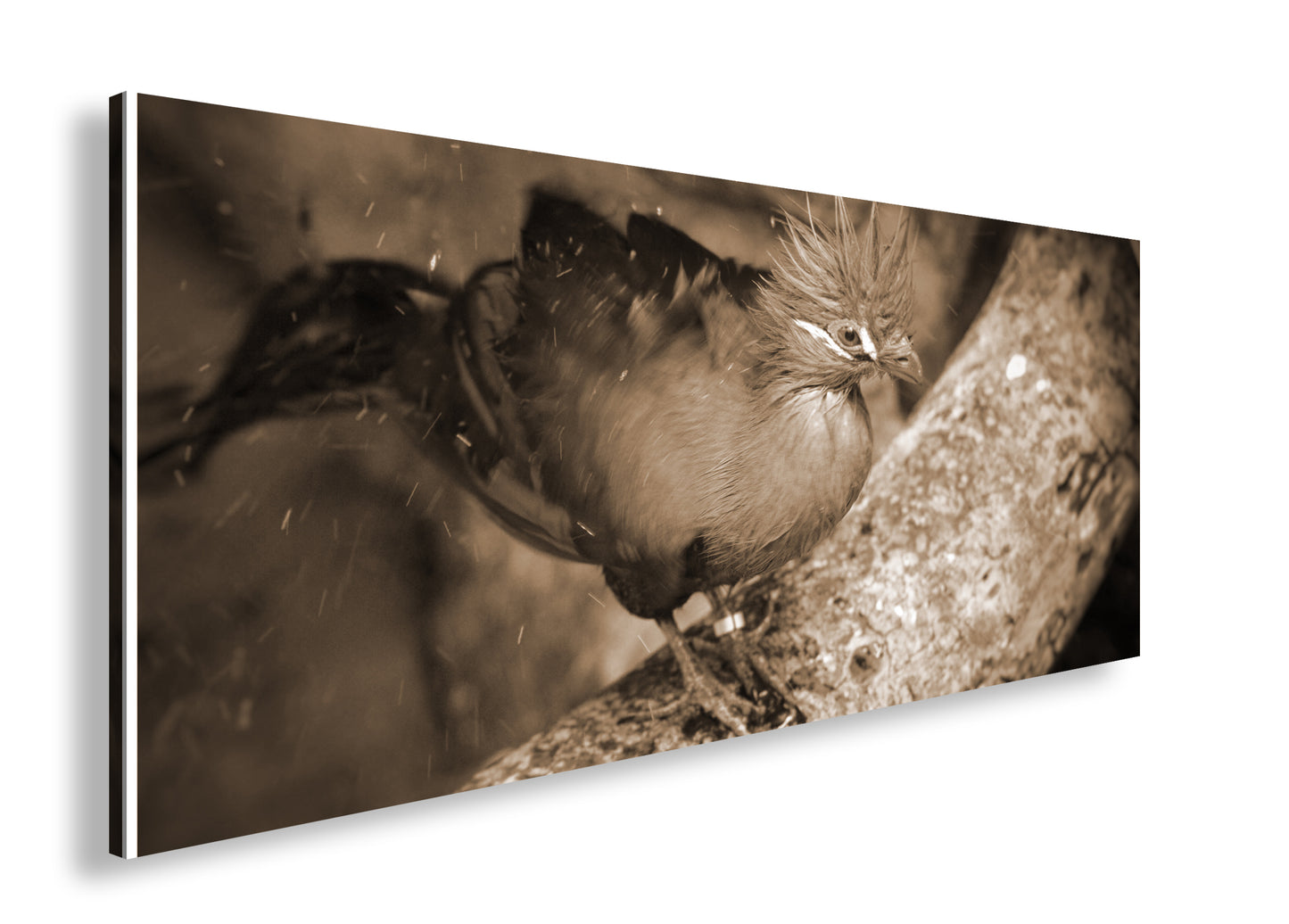 Hauptbild Sepia Panorama