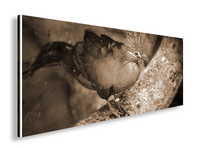 Hauptbild Sepia Panorama