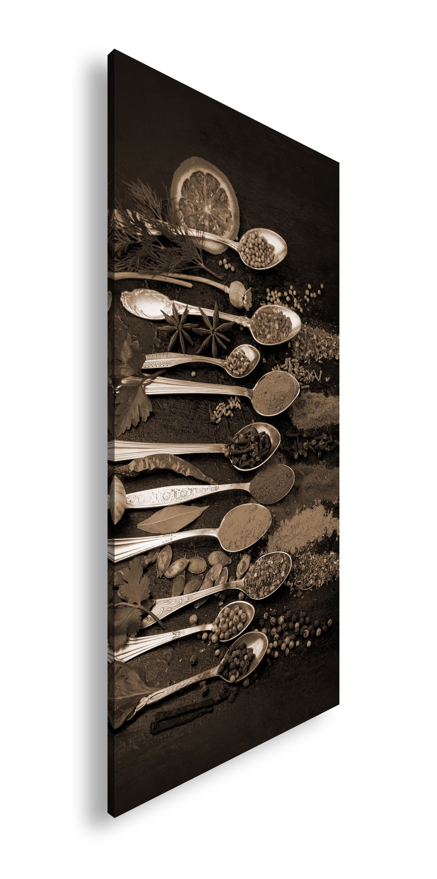 Hauptbild Sepia Panorama