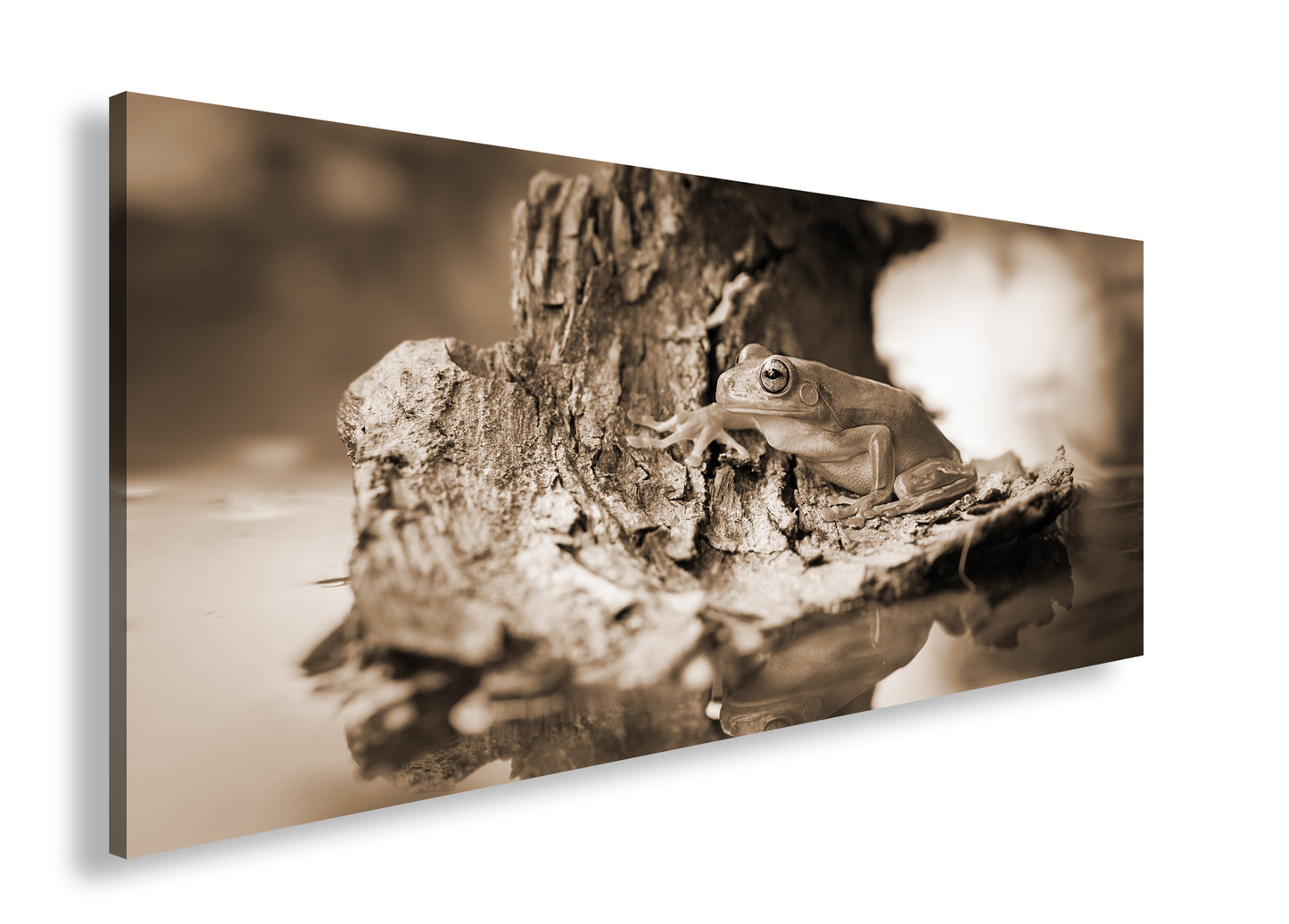 Hauptbild Sepia Panorama