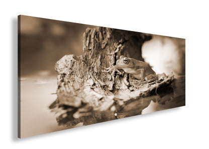 Hauptbild Sepia Panorama