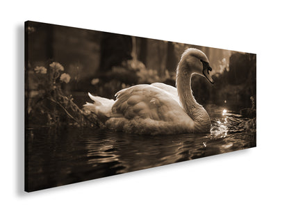 Hauptbild Sepia Panorama