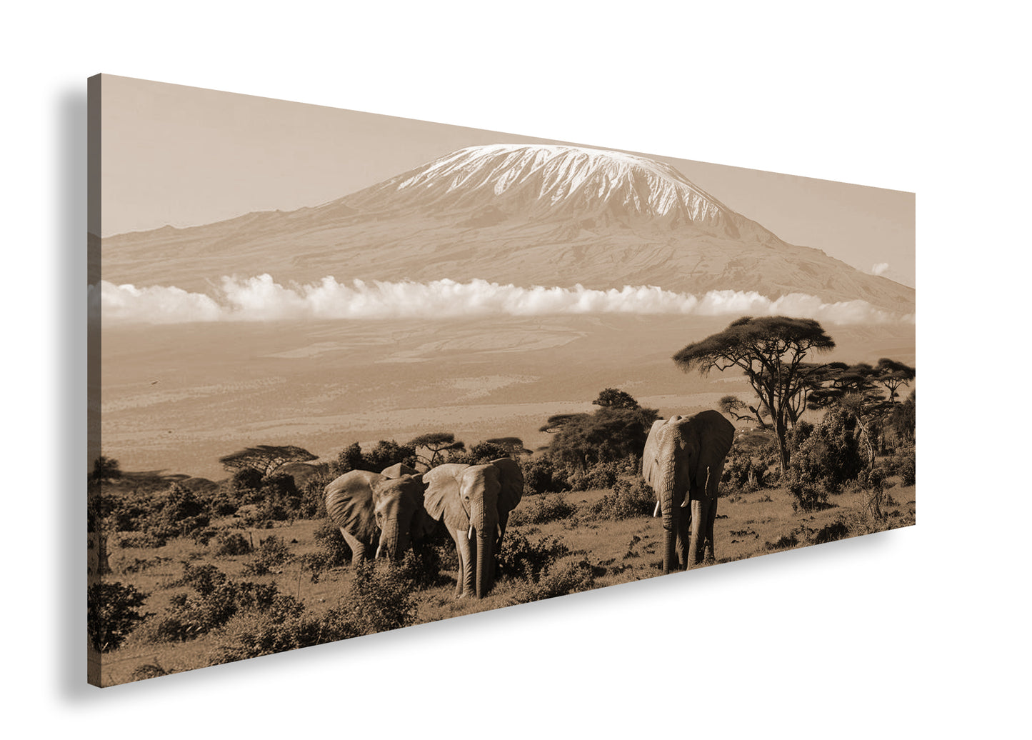 Hauptbild Sepia Panorama