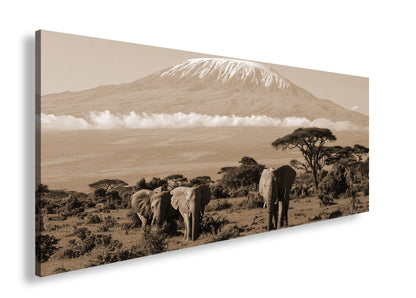 Hauptbild Sepia Panorama