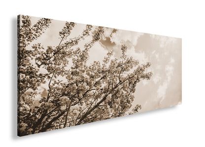 Hauptbild Sepia Panorama