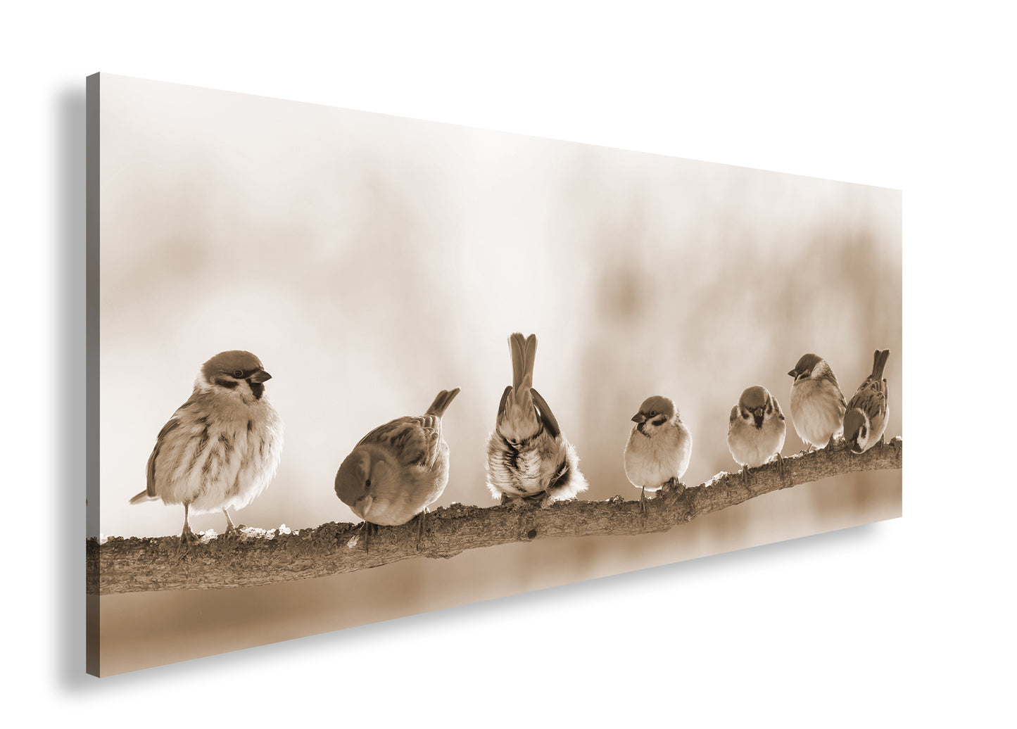 Hauptbild Sepia Panorama