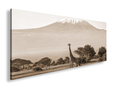 Hauptbild Sepia Panorama