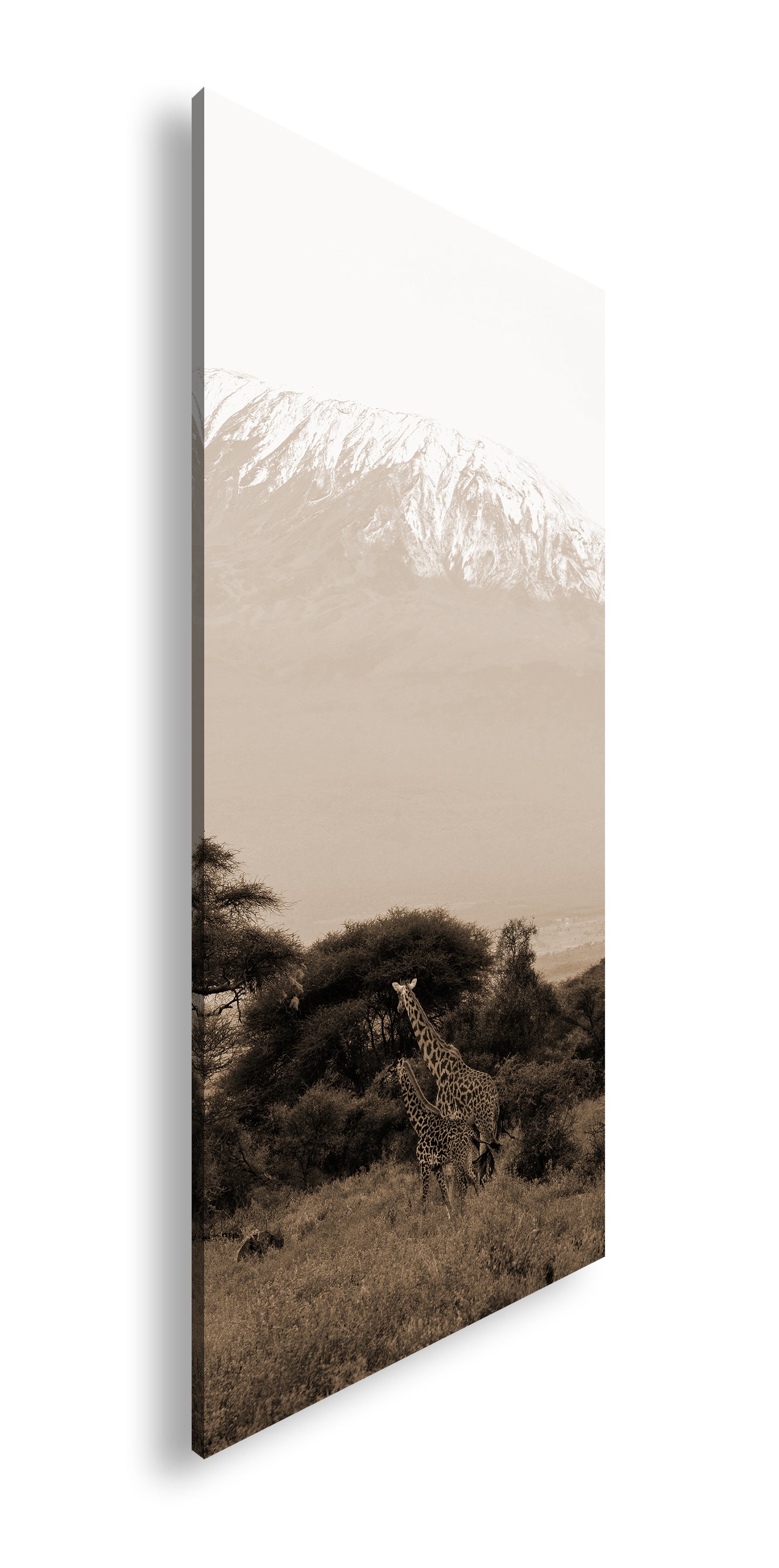 Hauptbild Sepia Panorama