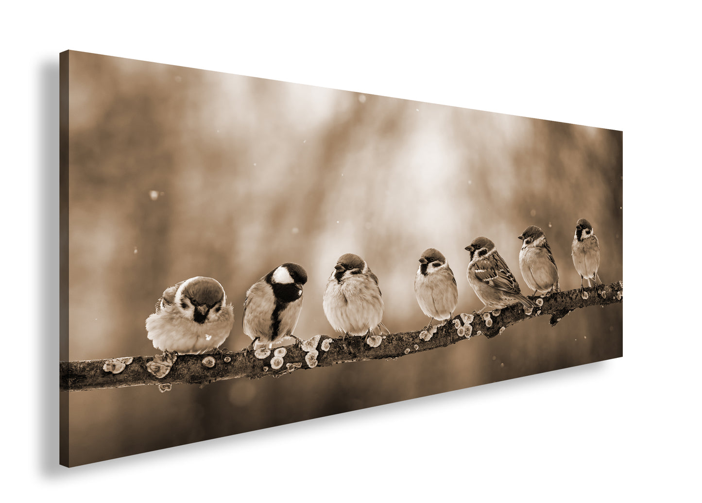 Hauptbild Sepia Panorama