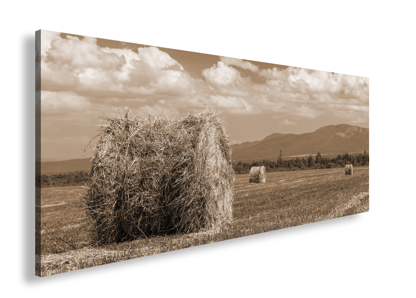 Hauptbild Sepia Panorama