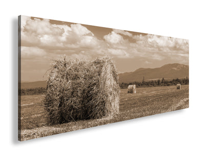 Hauptbild Sepia Panorama