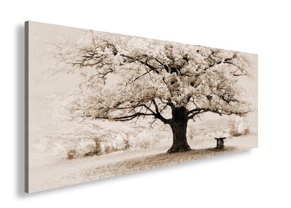Hauptbild Sepia Panorama
